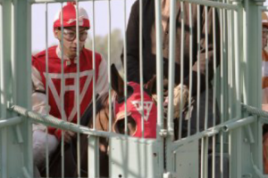 post-71509-0-53985800-1371354522_thumb.p