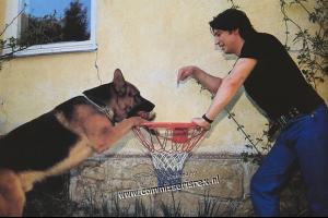 post-74425-0-39758700-1372066637_thumb.j