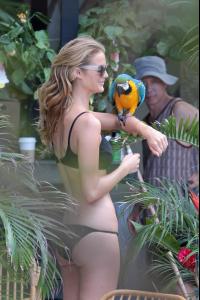 post-46718-0-65954200-1433525726_thumb.j