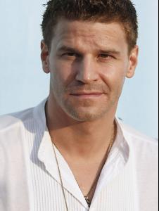 02905_David_Boreanaz____FOX_Networks_Summer_TCA_party_CU_ISA_140708_01_122_974lo.jpg