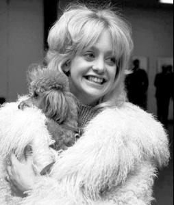 goldie_tn2_Goldie_Jeanne_Hawn_5.jpg