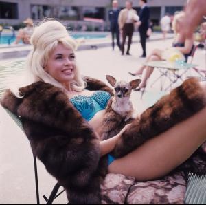 post-27165-0-44682700-1374930601_thumb.j