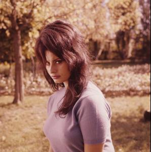 post-27165-0-61851600-1375303869_thumb.j