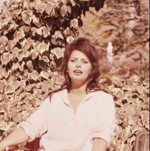 post-27165-0-61883600-1375304108_thumb.j