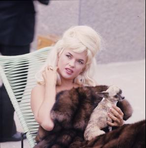 post-27165-0-73029000-1374930587_thumb.j