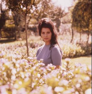 post-27165-0-75150600-1375303936_thumb.j