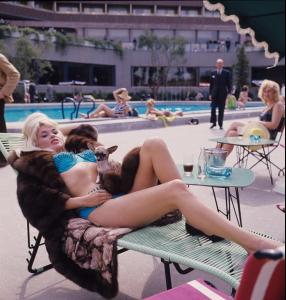 post-27165-0-87114400-1374930409_thumb.j