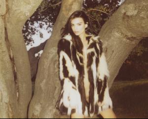 post-46718-0-05760500-1372969184_thumb.j