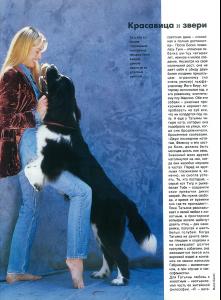 post-77603-0-09694500-1373306969_thumb.j