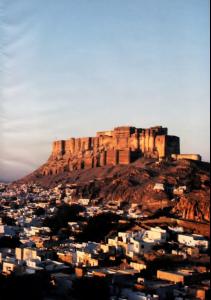 post-59683-0-03484200-1404914164_thumb.j