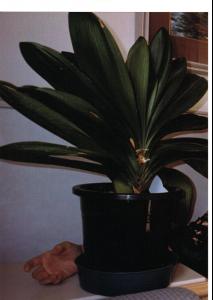 post-87696-0-83031800-1406046103_thumb.j