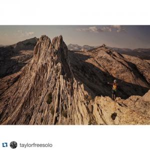 post-87508-0-84206500-1436805277_thumb.j