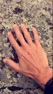 post-87508-0-98235500-1436805388_thumb.j