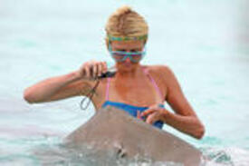 th_paris_hilton_one_piece_bikini_in_bora_bora_hq_02.jpg