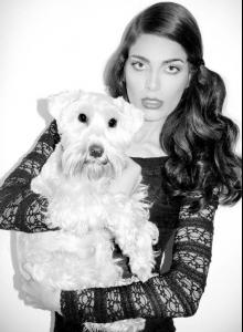 post-19430-0-50211000-1346189631_thumb.j