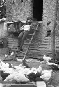 post-27165-0-03464100-1376940550_thumb.j