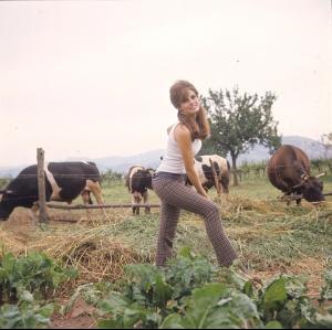 post-27165-0-05236700-1376418823_thumb.j