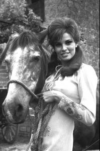 post-27165-0-06389400-1376418614_thumb.j