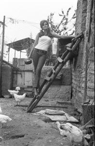 post-27165-0-09353800-1376940367_thumb.j