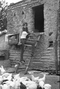 post-27165-0-17155600-1376940438_thumb.j