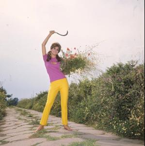 post-27165-0-18052200-1376940846_thumb.j