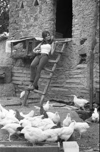 post-27165-0-21354300-1376940479_thumb.j