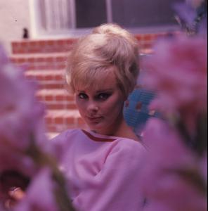 post-27165-0-22595100-1376682070_thumb.j