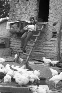 post-27165-0-22903700-1376940572_thumb.j