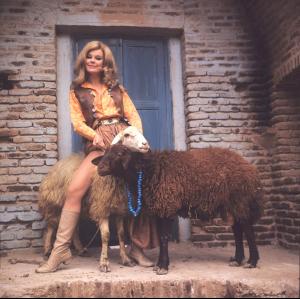 post-27165-0-24573900-1377967404_thumb.j