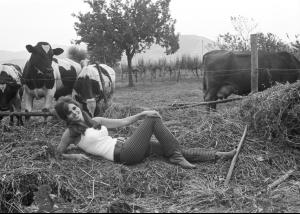 post-27165-0-24645800-1377201212_thumb.j