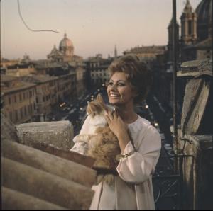 post-27165-0-26297400-1376513252_thumb.j