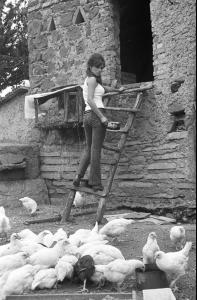 post-27165-0-28920300-1376940414_thumb.j