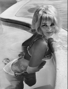 post-27165-0-34198900-1376419223_thumb.j