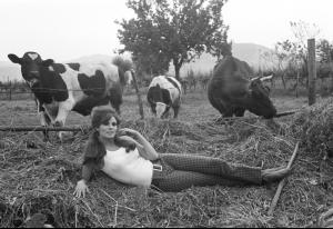 post-27165-0-37199000-1377201288_thumb.j