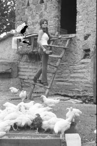 post-27165-0-45624400-1376940425_thumb.j