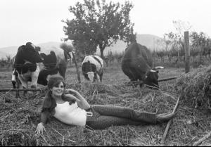 post-27165-0-45686000-1377201141_thumb.j