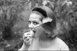 post-27165-0-47108900-1376511630_thumb.j