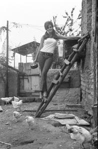 post-27165-0-47708600-1376940353_thumb.j