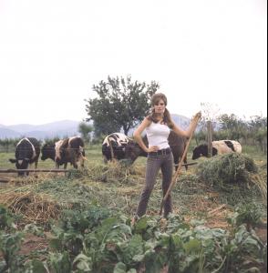 post-27165-0-48770100-1376418773_thumb.j