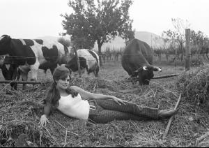 post-27165-0-53113900-1377201165_thumb.j