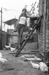 post-27165-0-53371100-1376940377_thumb.j