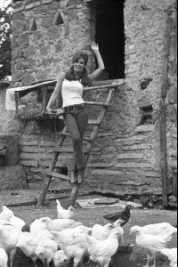 post-27165-0-58379300-1376940686_thumb.j