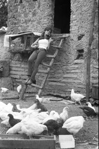 post-27165-0-61253300-1376940488_thumb.j