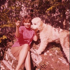 post-27165-0-61549200-1375477781_thumb.j