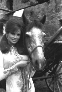 post-27165-0-62288300-1376418548_thumb.j