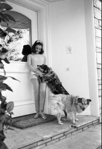 post-27165-0-71366400-1375472753_thumb.j