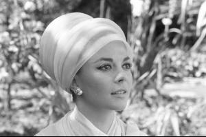 post-27165-0-75078800-1376593653_thumb.j