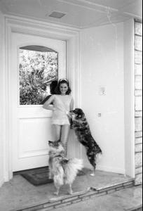 post-27165-0-78425500-1375472765_thumb.j