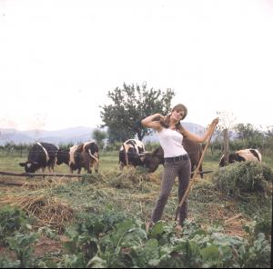 post-27165-0-81214600-1376418830_thumb.j