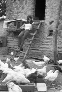 post-27165-0-85372200-1376940560_thumb.j